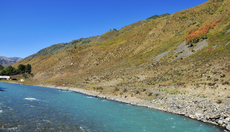 _DSC3544.jpg