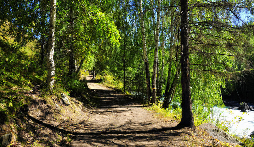 _DSC3554.jpg