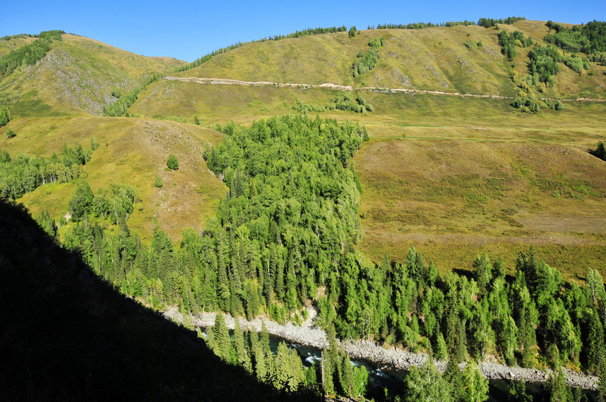 _DSC3633.jpg