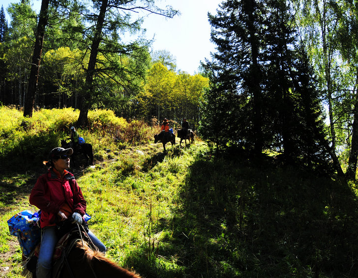 _DSC3768.jpg