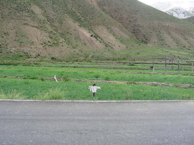 DSCN0850.JPG