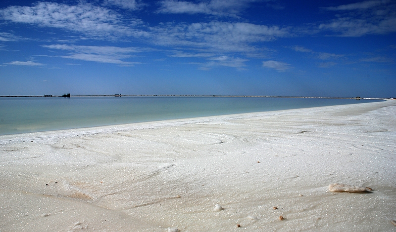 DSC_0089.jpg