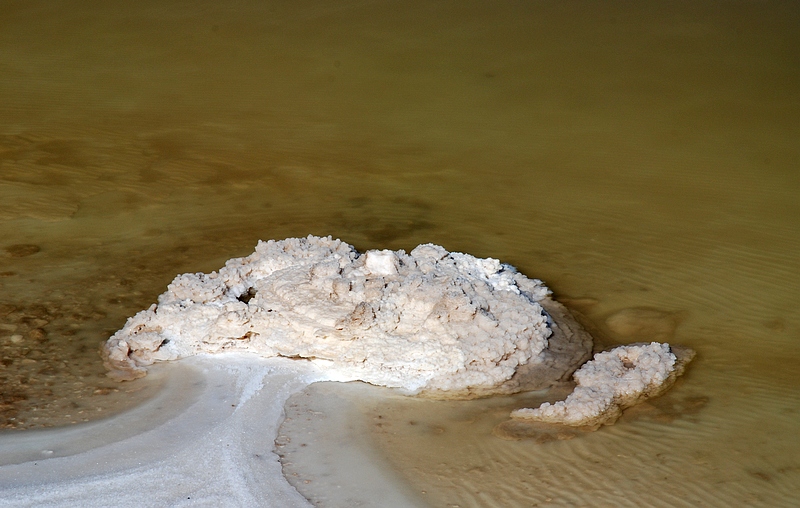 DSC_0094.jpg