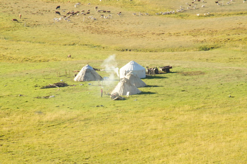 DSC07940.JPG