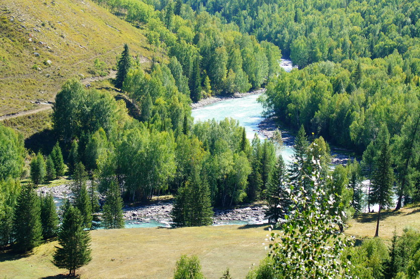DSC07992.JPG