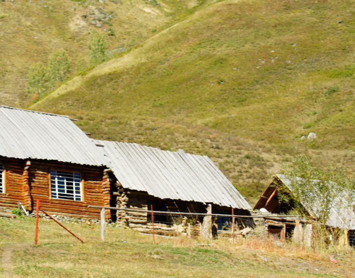 DSC08033.jpg
