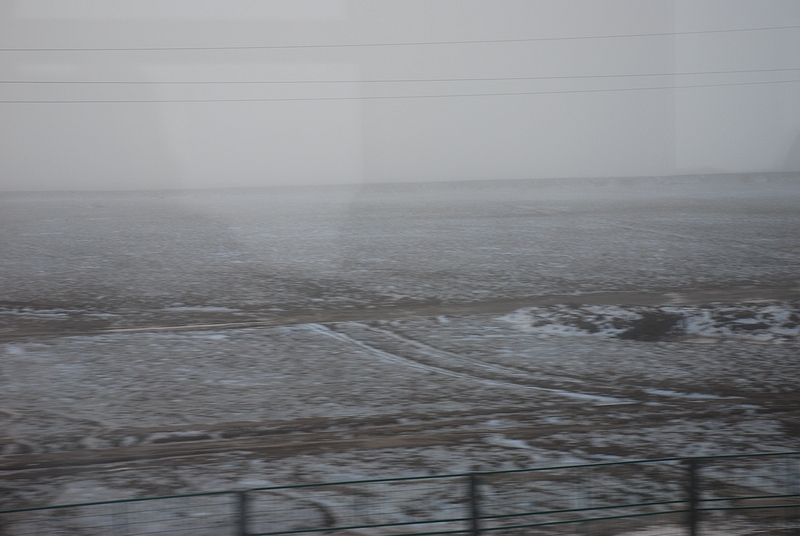 DSC_0132.jpg