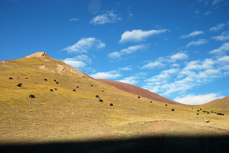 DSC_0152.jpg