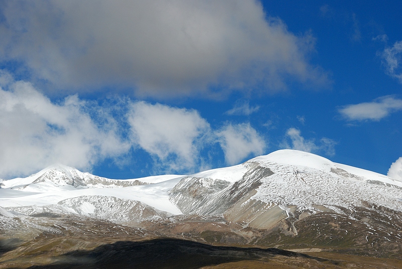 DSC_0201.jpg