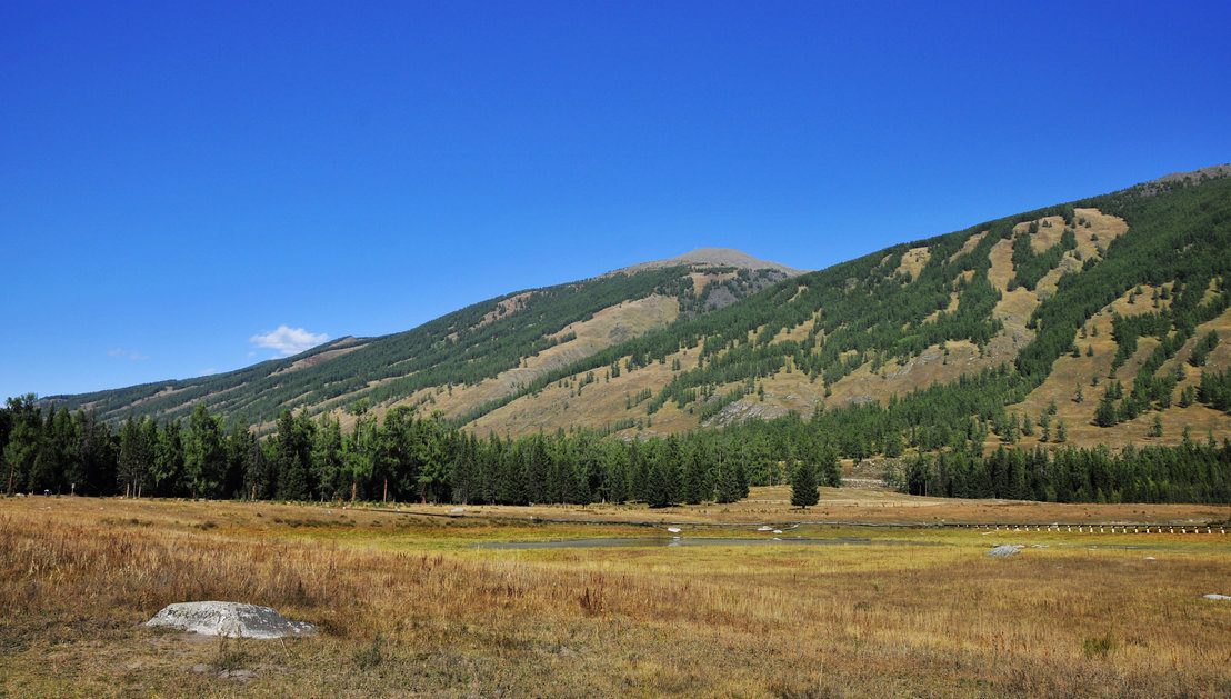 _DSC4047.jpg