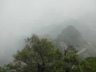 DSC01884.JPG