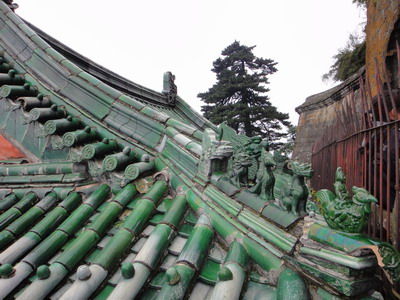 DSC01904.JPG
