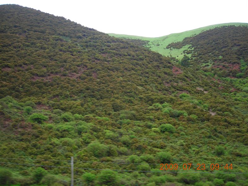 DSCN0569.JPG