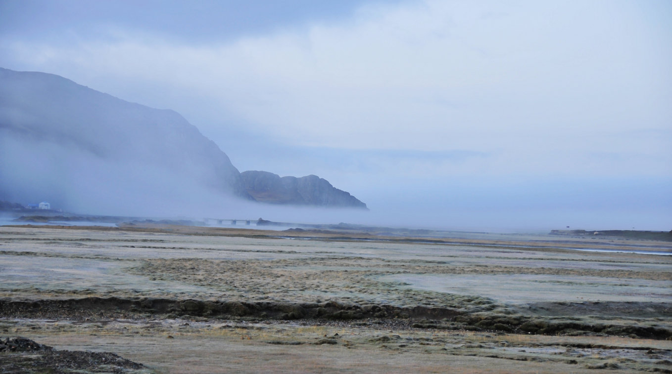 _DSC6178.jpg