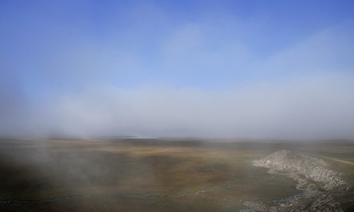 _DSC6361.jpg