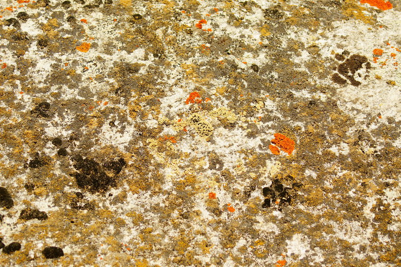 DSC08934.JPG