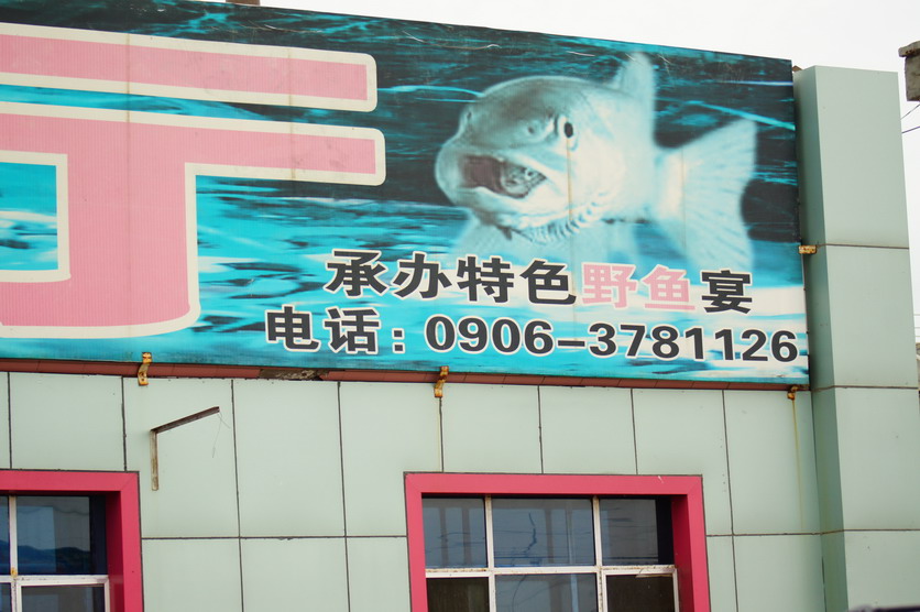 DSC08996.JPG