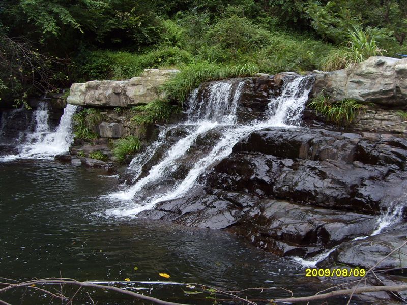 SDC11763.JPG