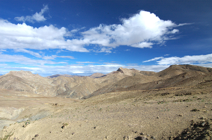 DSC_2648.jpg
