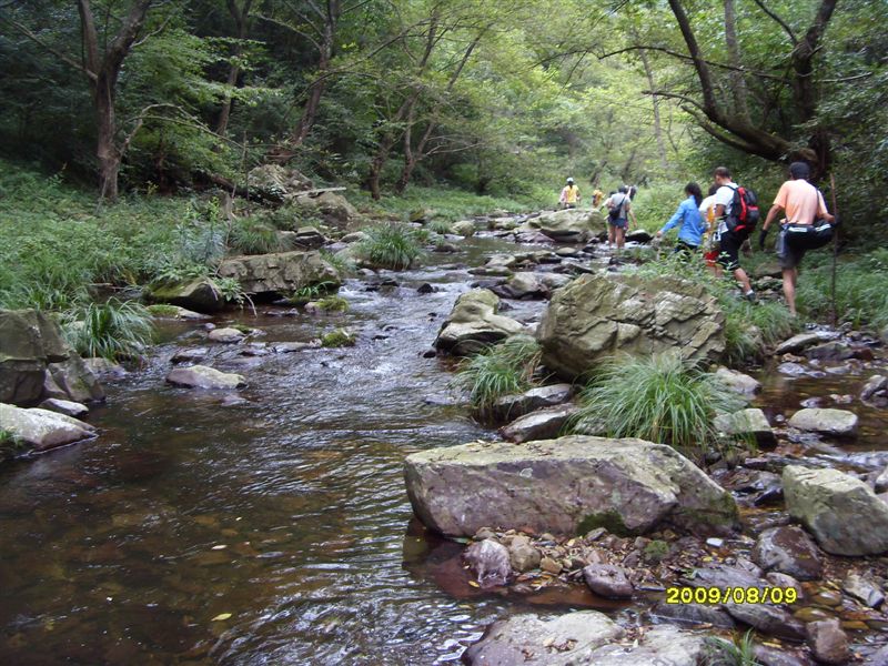 SDC11764.JPG