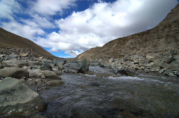 DSC_2666.jpg