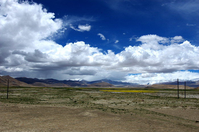 DSC_2707.jpg
