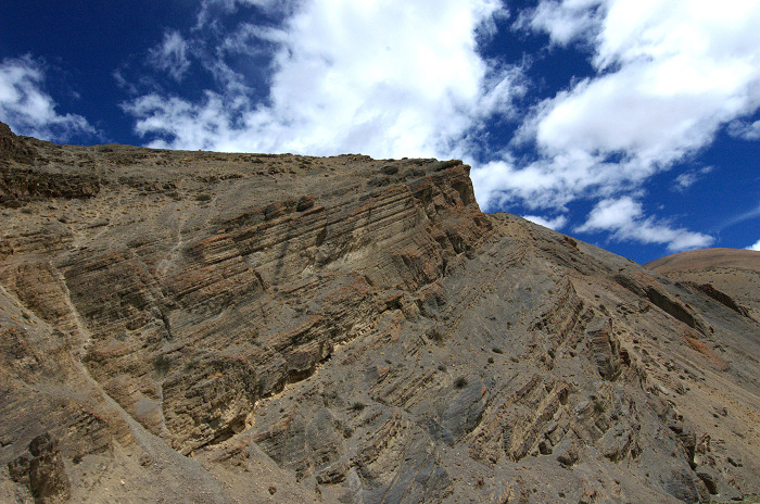 DSC_2721.jpg