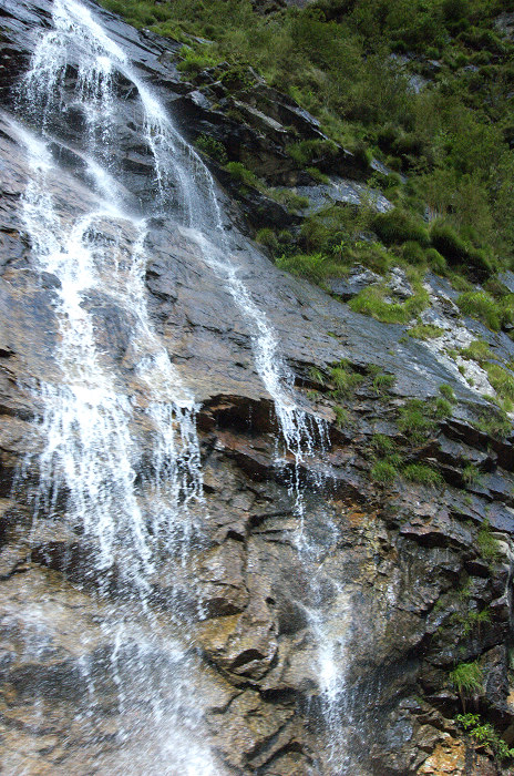 DSC_2786.jpg