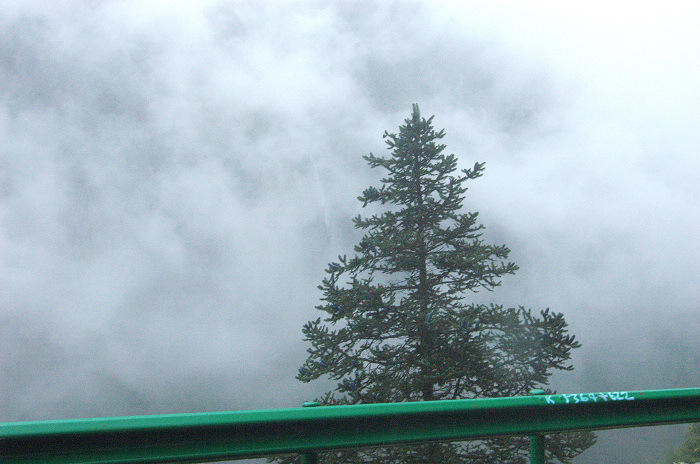 DSC_2787.jpg