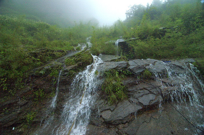 DSC_2792.jpg