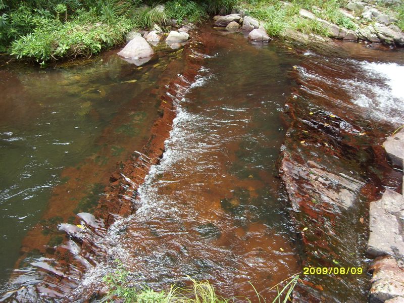 SDC11785.JPG