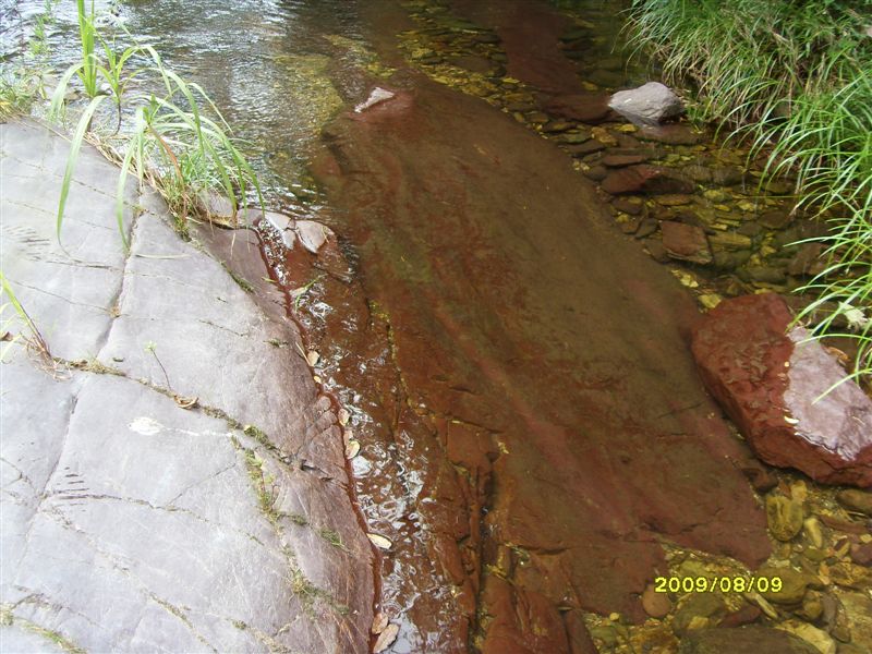 SDC11787.JPG