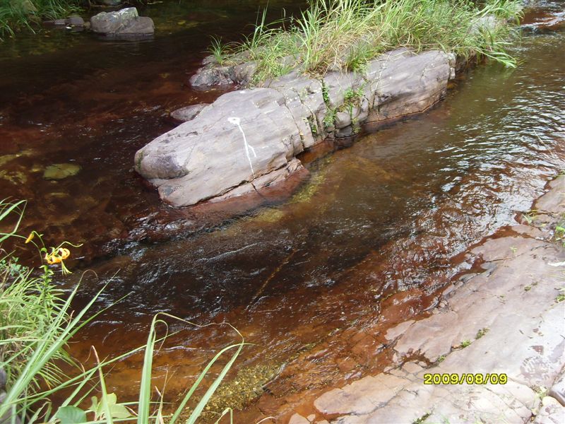 SDC11791.JPG