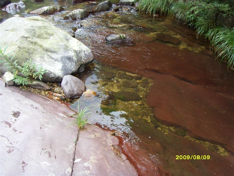 SDC11817.JPG