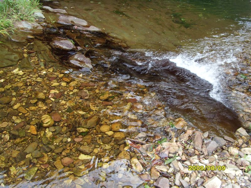 SDC11796.JPG