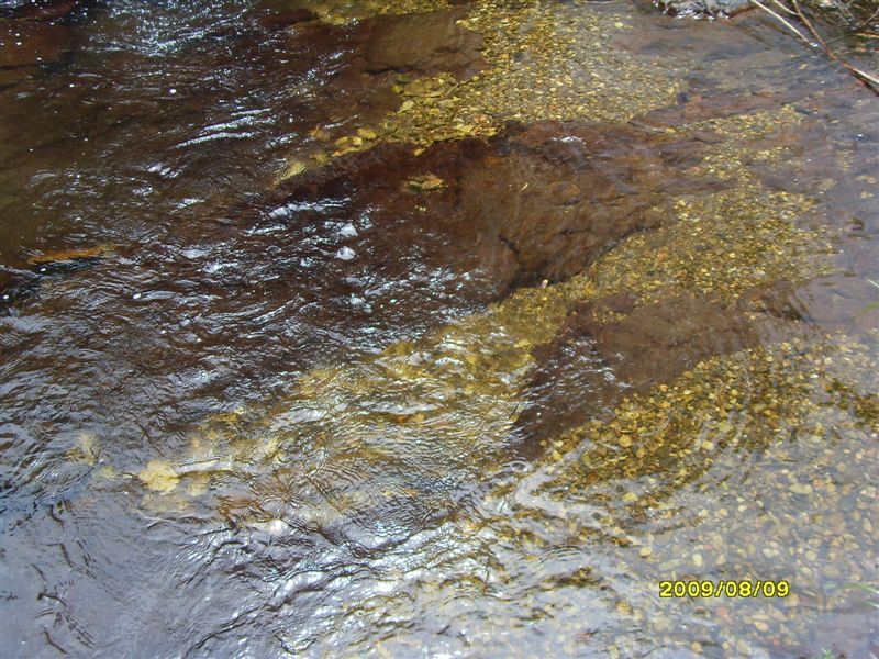SDC11800.JPG