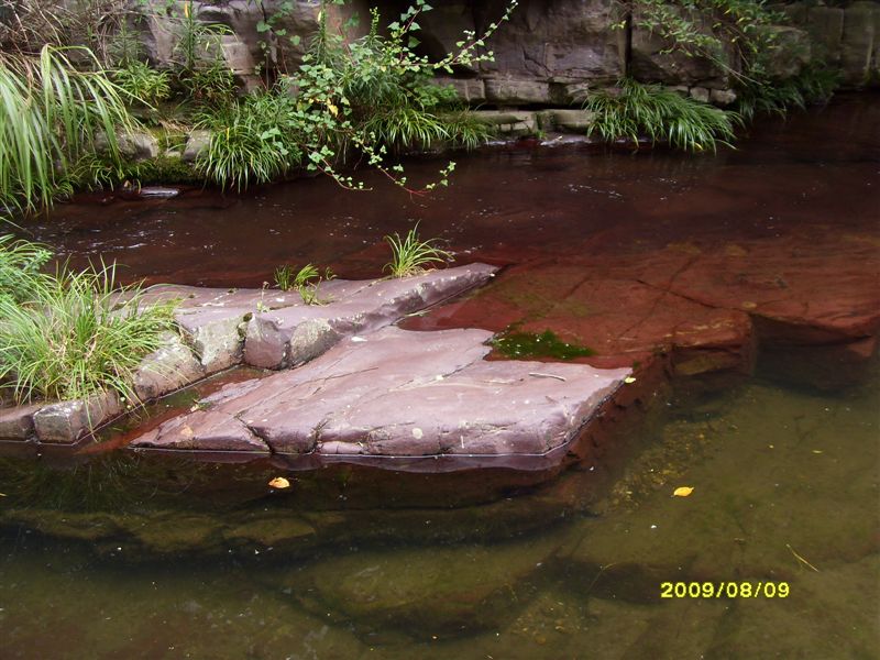 SDC11814.JPG