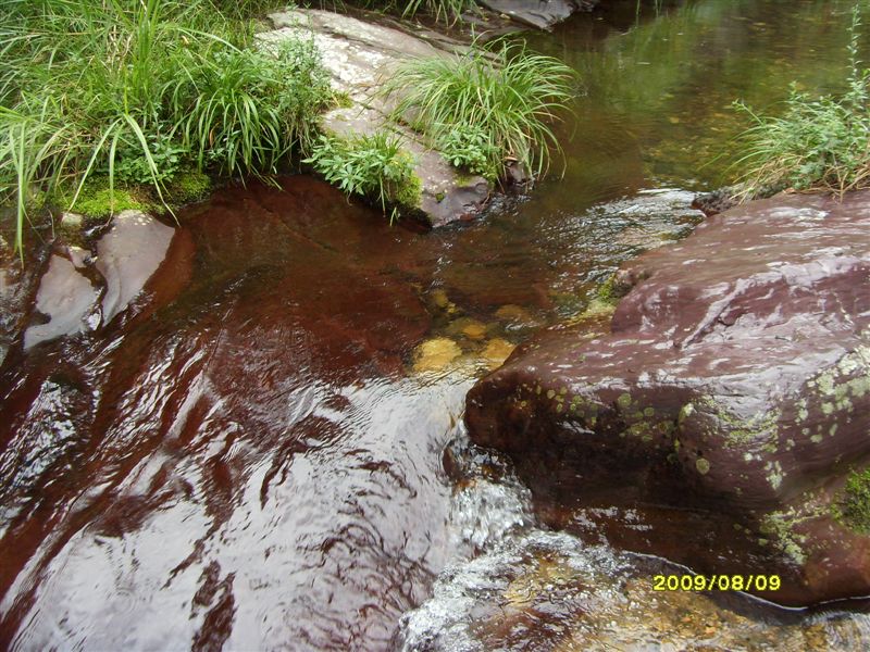 SDC11819.JPG