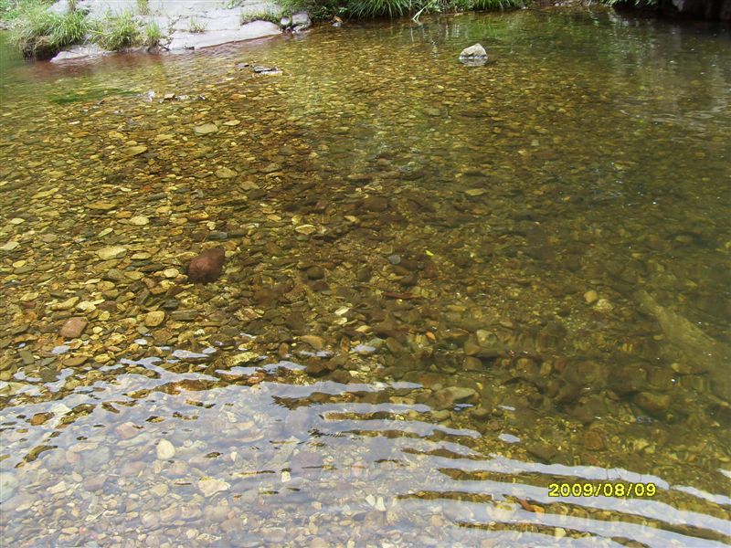 SDC11823.JPG