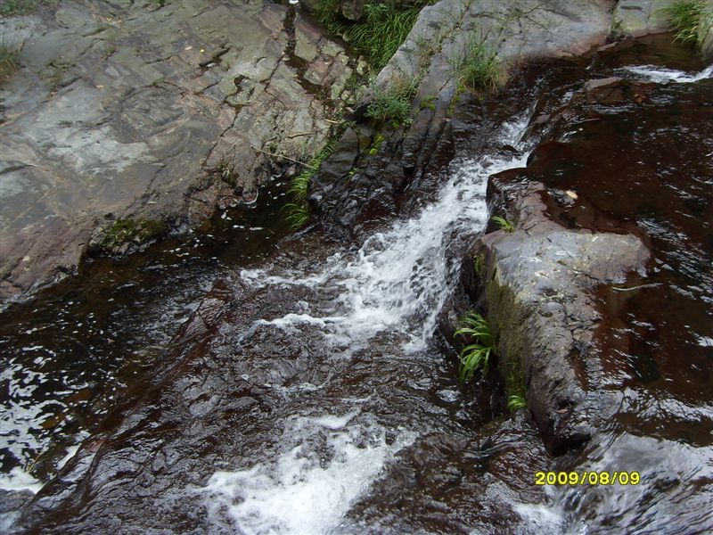 SDC11834.JPG