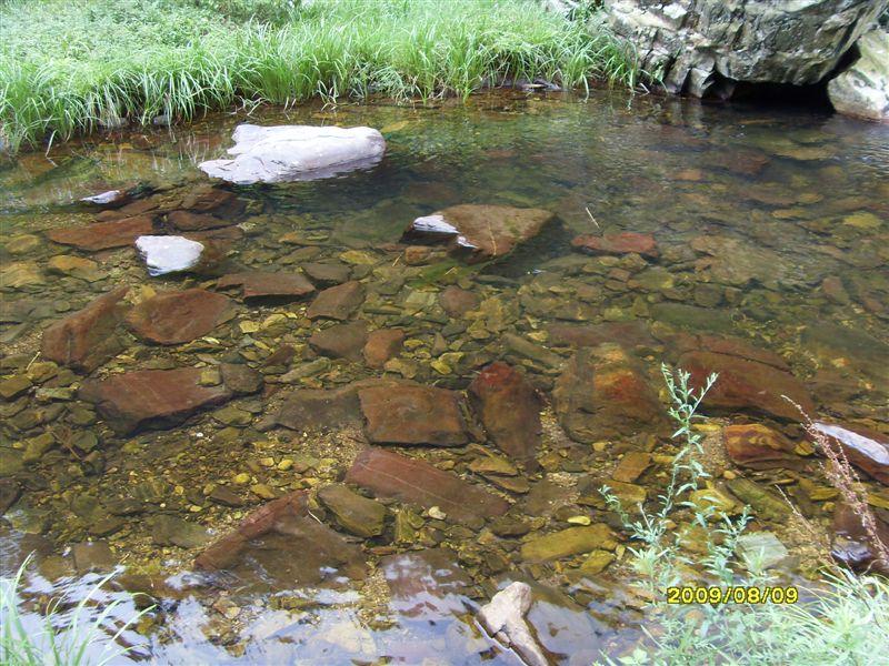 SDC11838.JPG