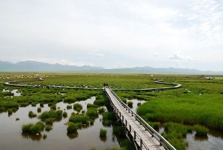DSC_0351.jpg