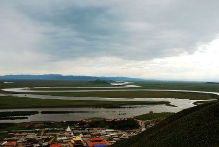 DSC_0500.jpg