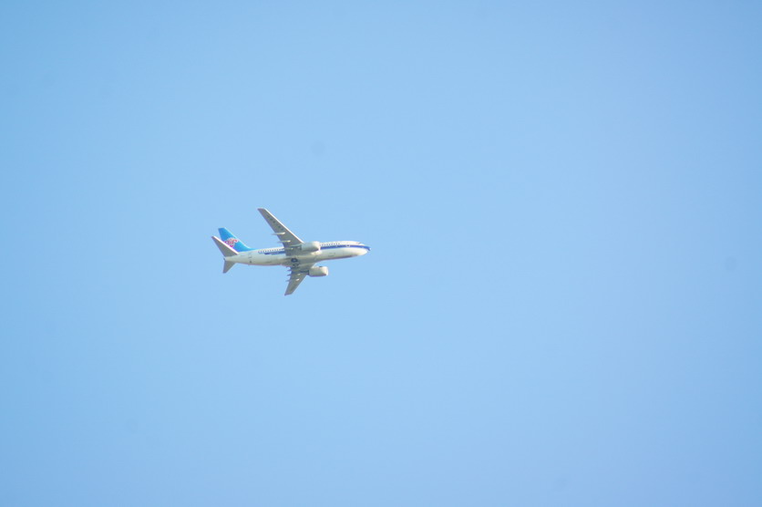 DSC09334.JPG