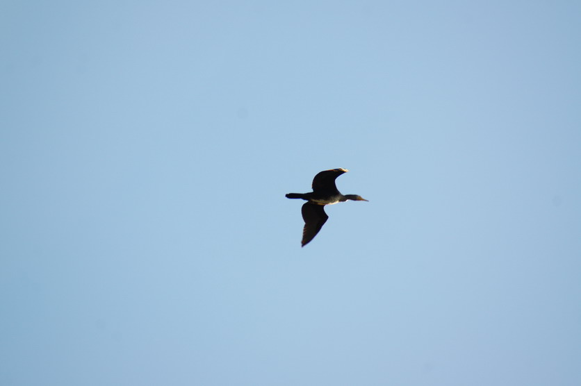 DSC09343.JPG