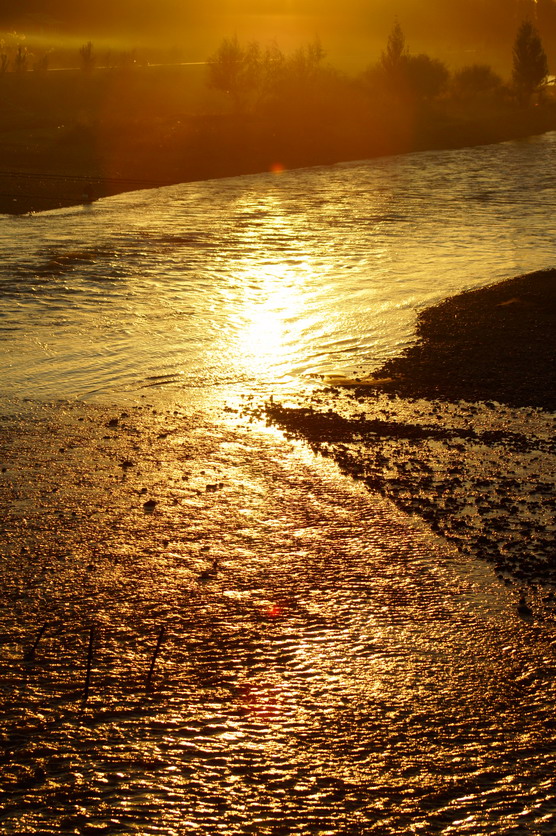 DSC09371.JPG