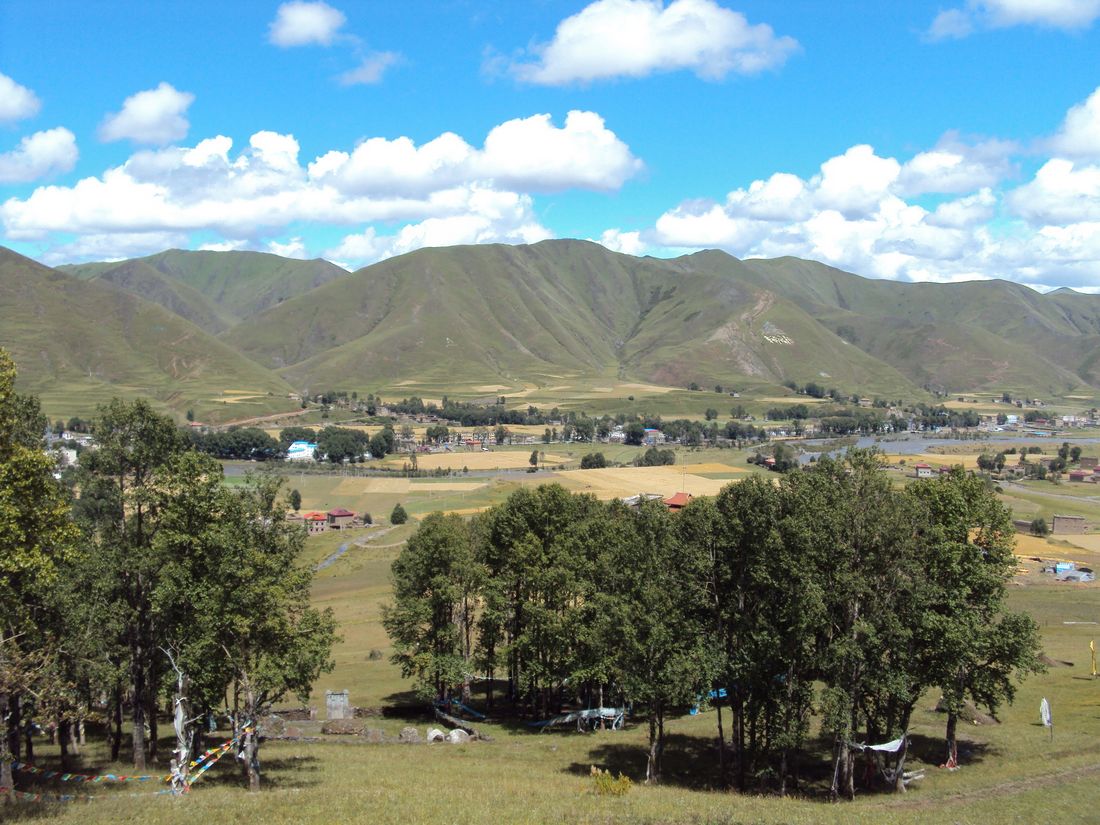 DSC04117.JPG