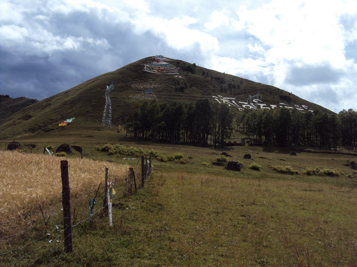 DSC04214.jpg