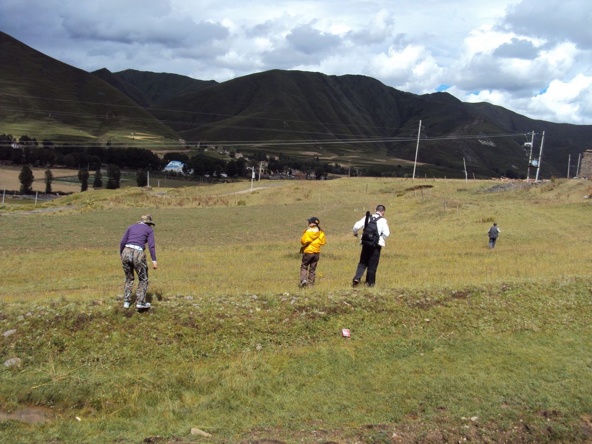 DSC04216.JPG