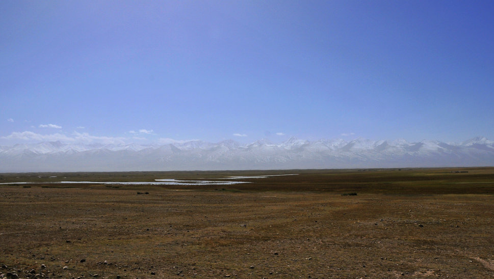 _DSC6604.jpg